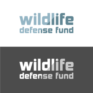Logo Design by Jezepi for WIDEFUND | Design #20821861