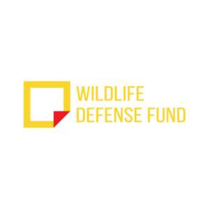 Logo Design by Dan06 for WIDEFUND | Design: #20827677