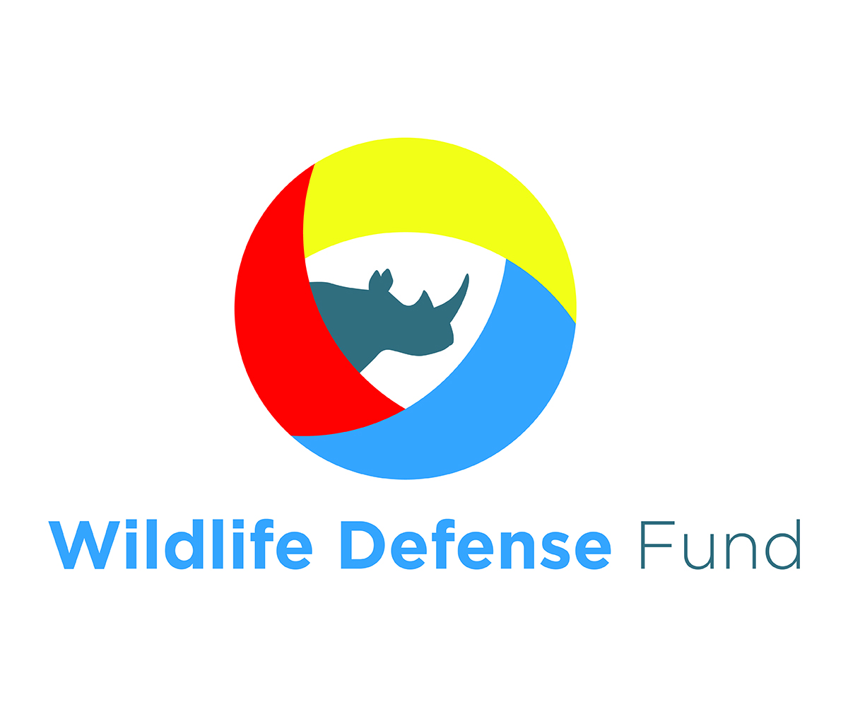 Logo Design by Tony 11 for WIDEFUND | Design #20871290