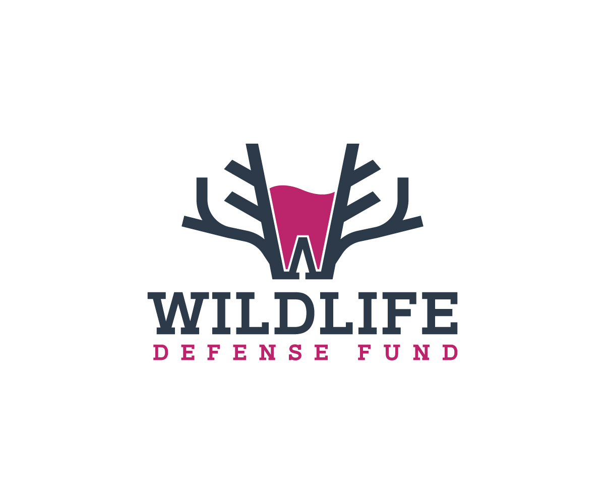 Diseño de Logo por peter jone para WIDEFUND | Diseño #20846150