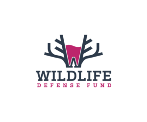 Logo Design by peter jone