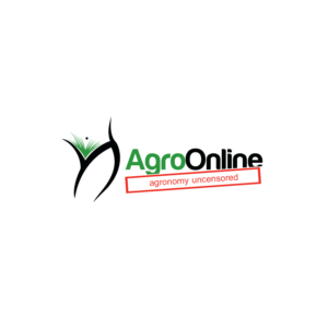 Logo Design by emptyboxgraphics for this project | Design: #20809316
