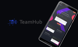 TeamHub | Logo Design by Pixel Desert