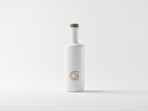 Logo Design by AAn Creatives