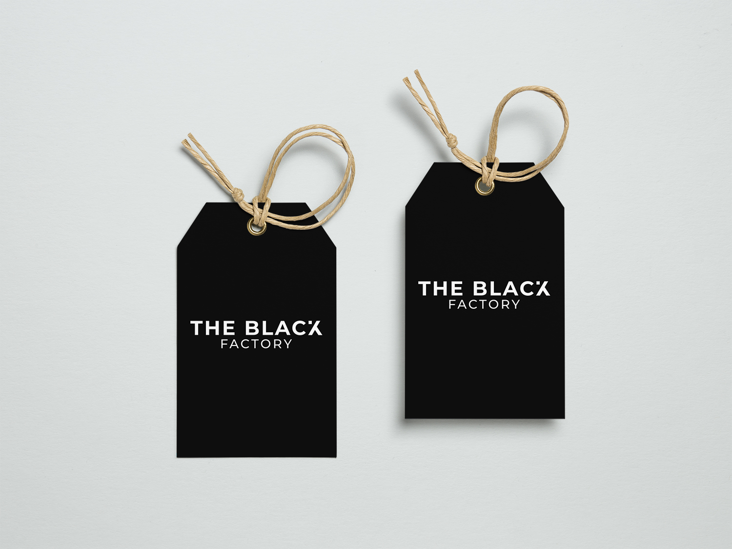 Logo Design by Saymon Studio for this project | Design #20823338