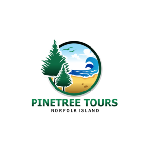 Logo Design by hernawanrere for this project | Design #20824685