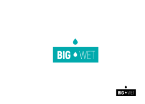 Design de Logo par Sonya pour Big Wet Spring Water | Design : #20866168