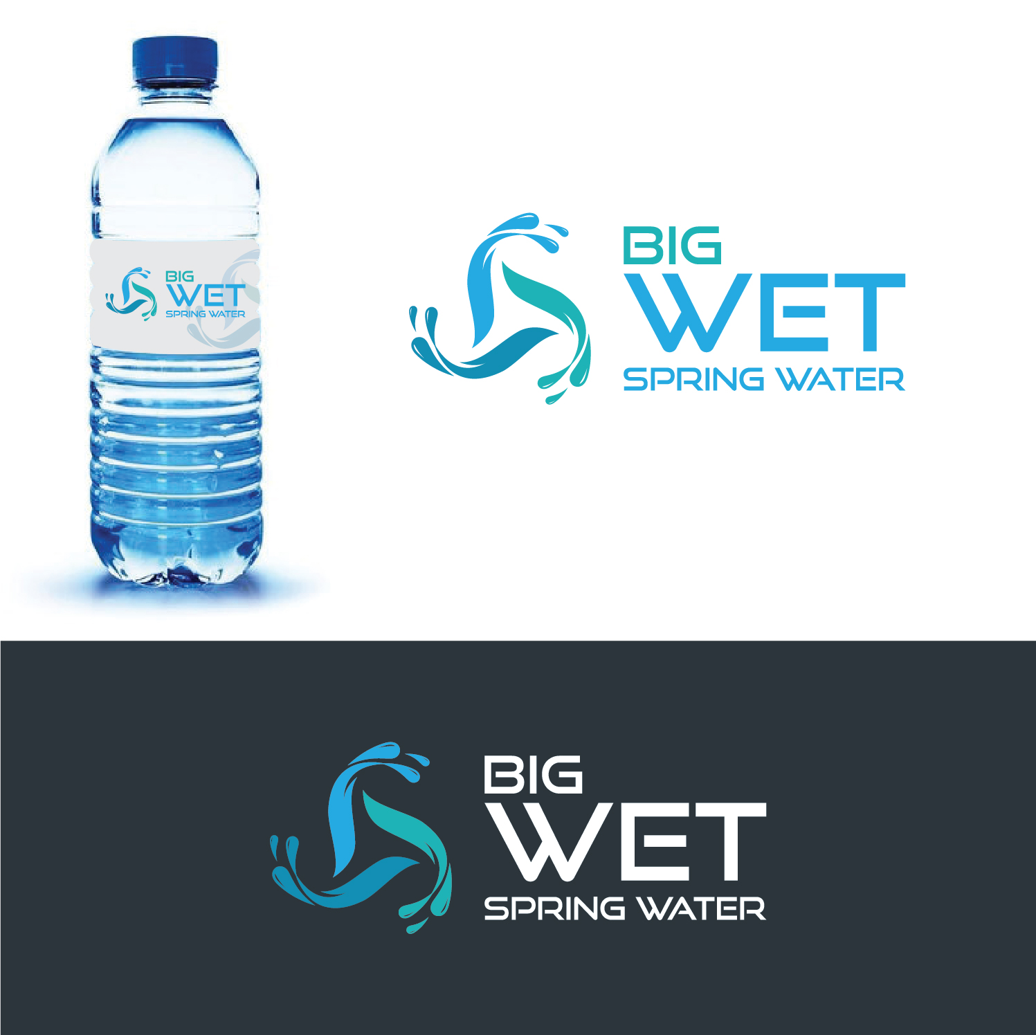 Logo Design by Deziners Zone for Big Wet Spring Water | Design #20840365