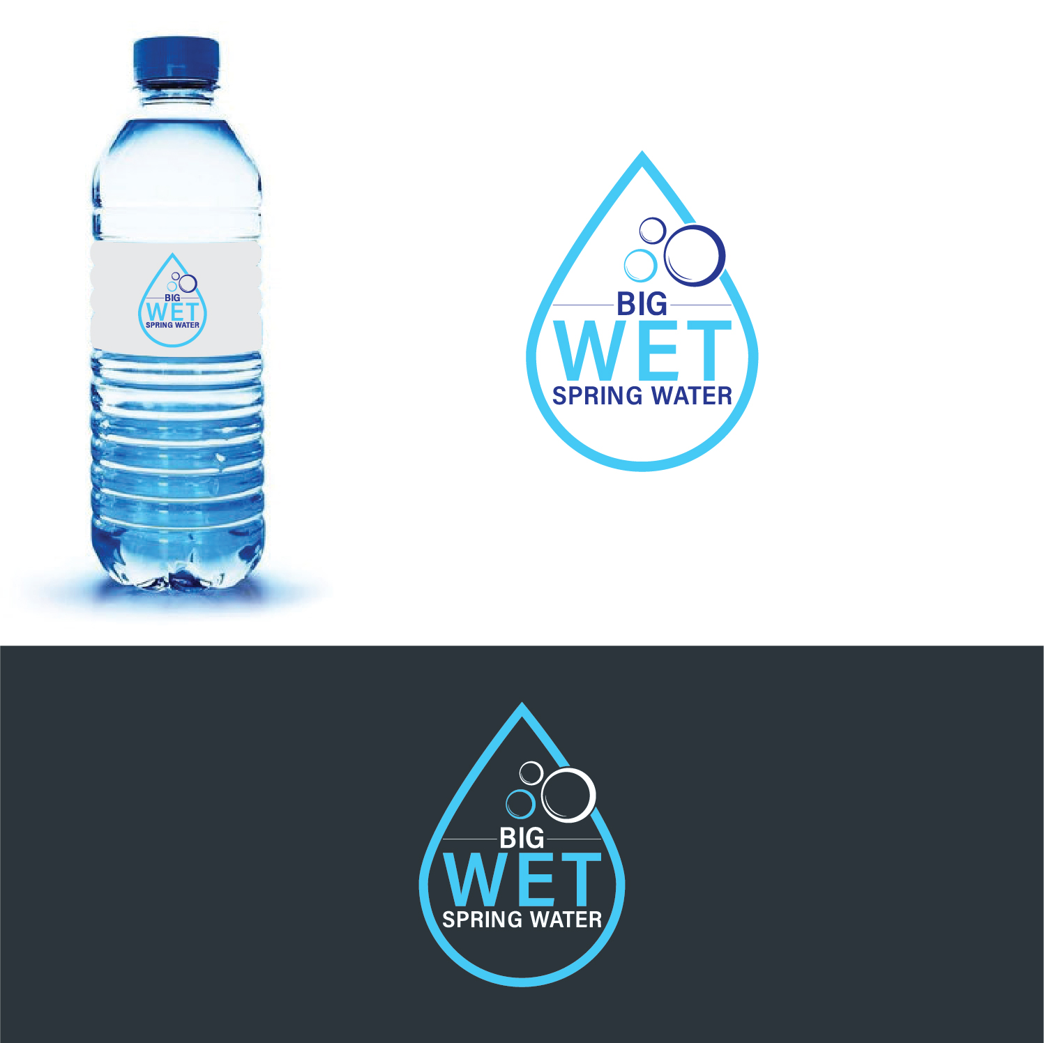 Design de Logo par Deziners Zone pour Big Wet Spring Water | Design #20840367