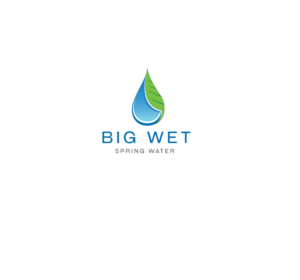 Design de Logo par instudio pour Big Wet Spring Water | Design : #20841327