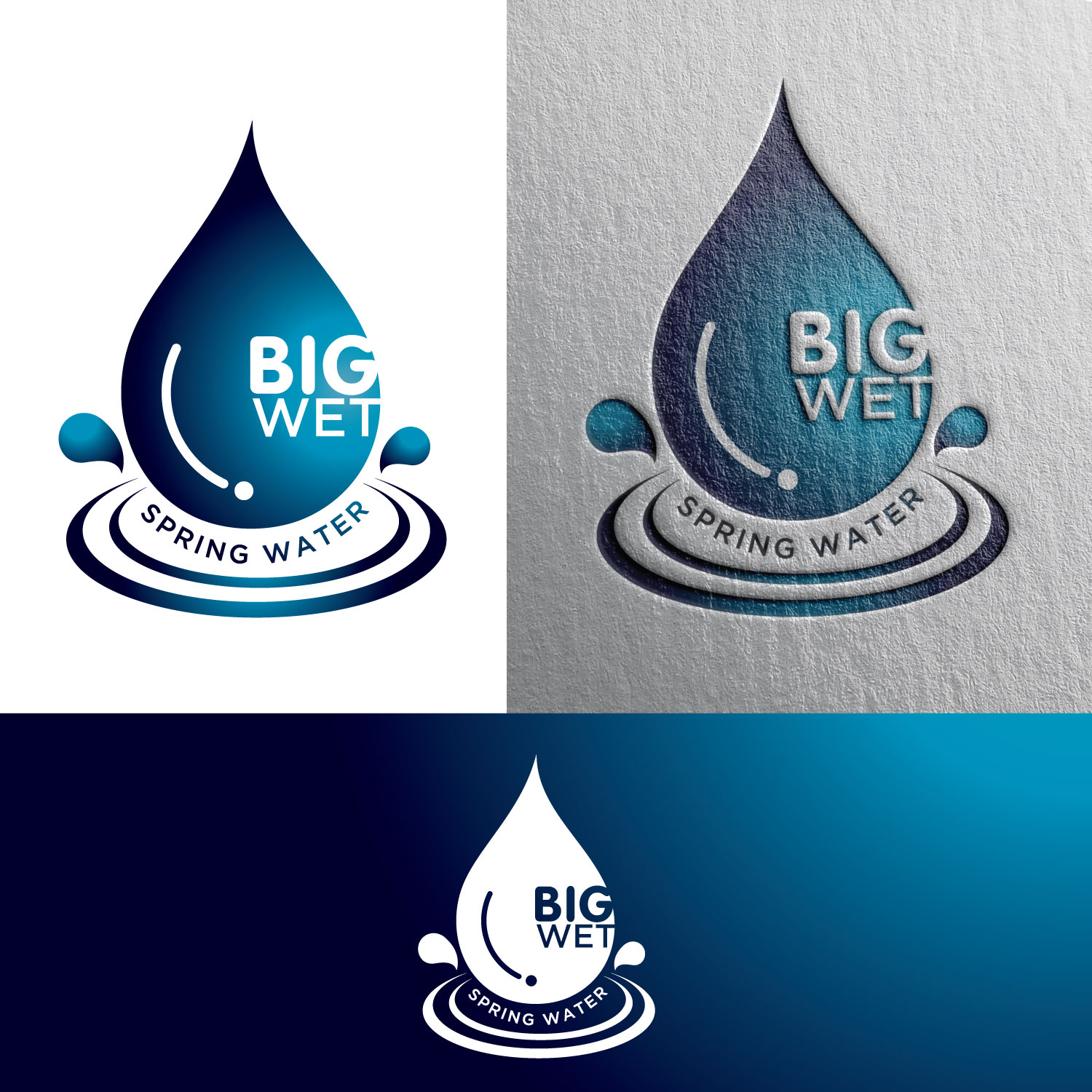 Diseño de Logo por concepts para Big Wet Spring Water | Diseño #20839155
