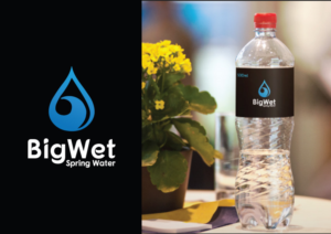 Design de Logo par creative ismat pour Big Wet Spring Water | Design : #20885919