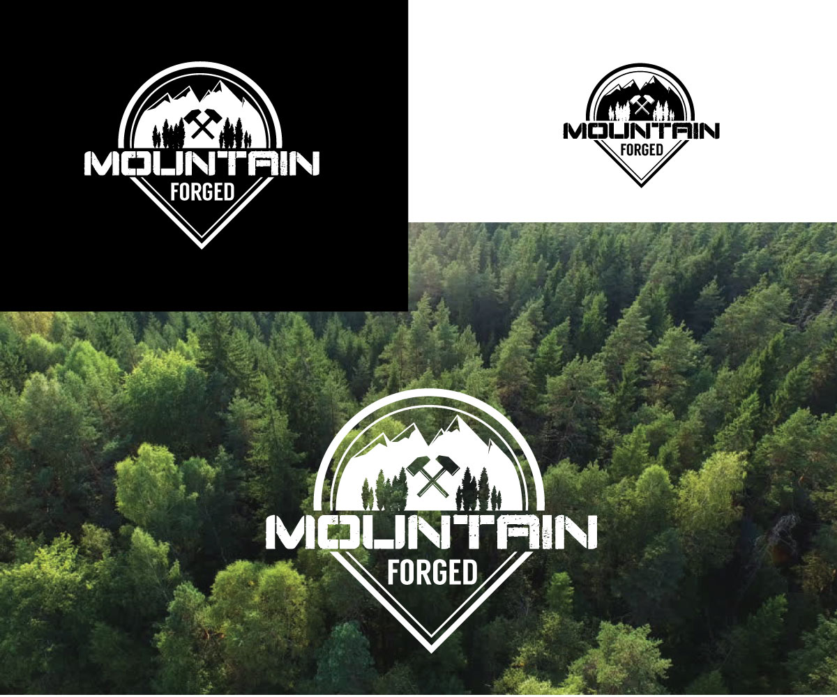 Logo-Design von Aeidan für dieses Projekt | Design #20841807