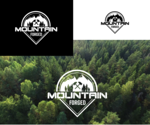 Logo-Design von Aeidan für dieses Projekt | Design: #20841807