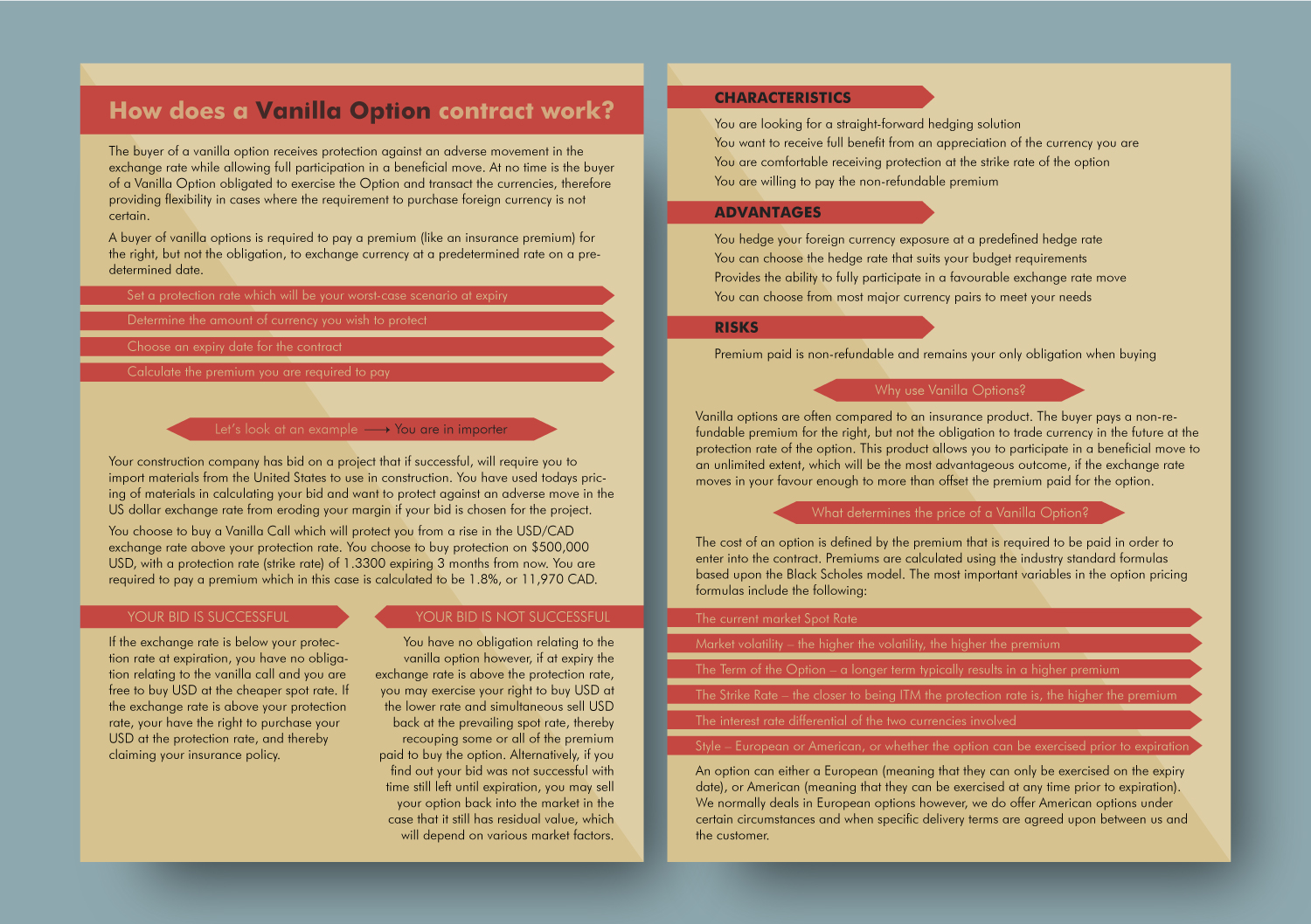 Flyer Design by AnaMSantos for this project | Design #20841683