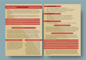2 Page Business Flyer for Finance Business | Flyer Design by AnaMSantos