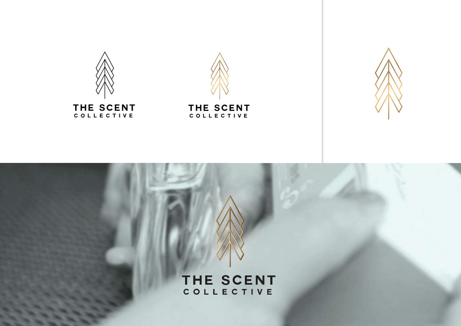 Logo Design by ritzspace for this project | Design #20901021