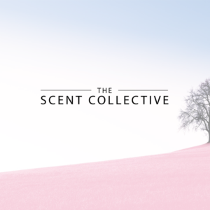 Logo Design by Graphicraft Ireland