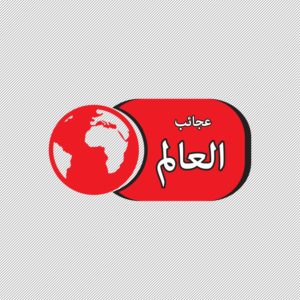 Logo Design by MOMEN ELKASHIF for this project | Design: #20934517