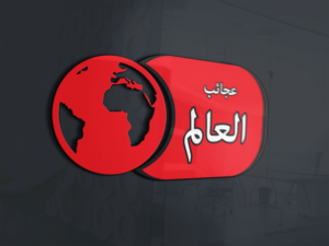 Logo Design by MOMEN ELKASHIF for this project | Design: #20934518