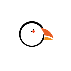 Logo Design by Graphicraft Ireland