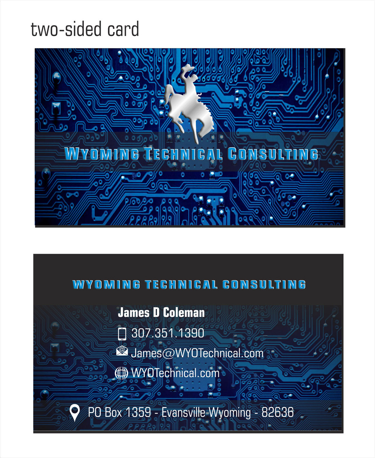 Business Card Design by IneseRo for Wyoming Technical Consulting | Design #20864089