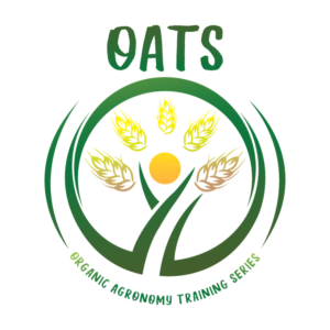 Logo Design by MGC creazioni grafiche
