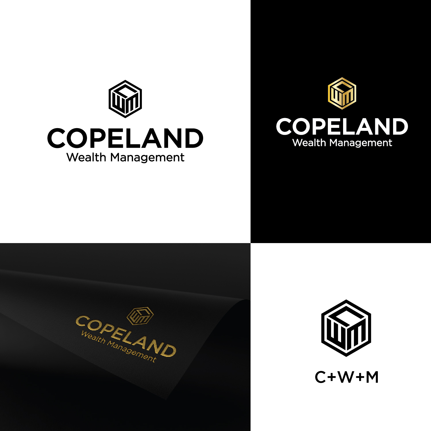 Diseño de Logo por fajar hasim para este proyecto | Diseño #20861244