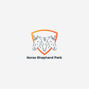 Logo Design by AP Design Studio