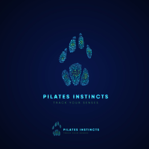 Logo Design by 2chestudio