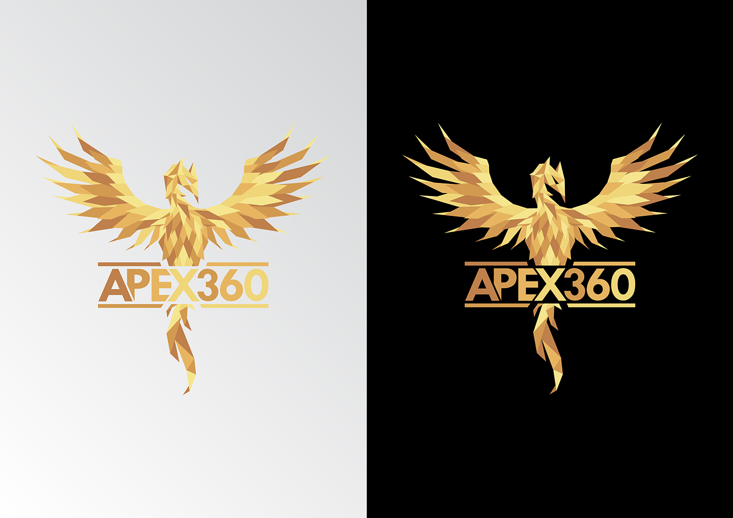 Logo Design by Daniel Spence Designs for this project | Design #21014219