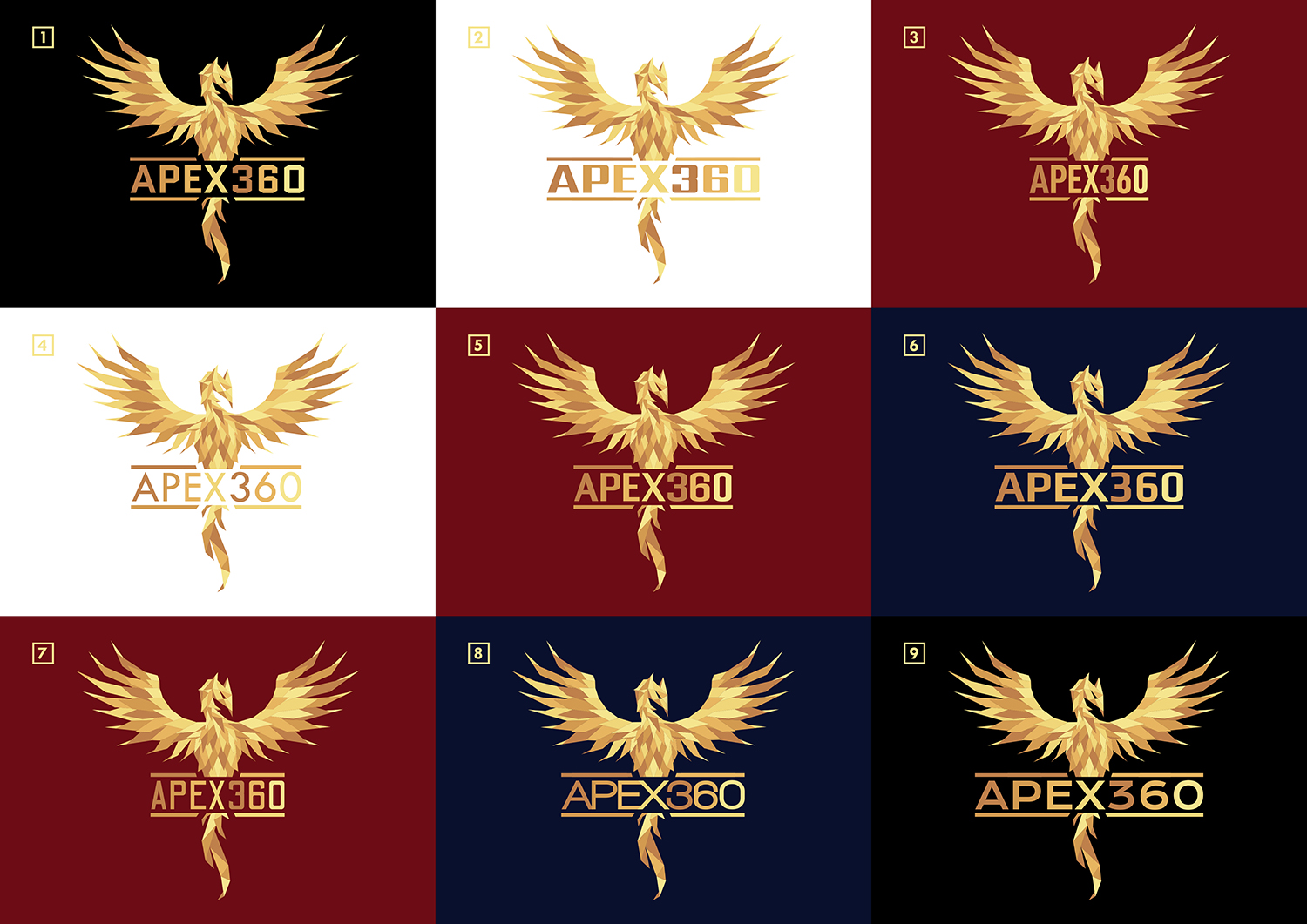 Logo Design by Daniel Spence Designs for this project | Design #21383989