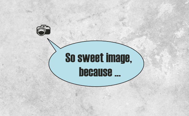 Logo-Design von SeXtreme für Photographer | Design #2949569