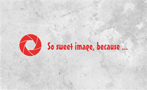 Logo Design by SeXtreme for Photographer | Design: #2949664
