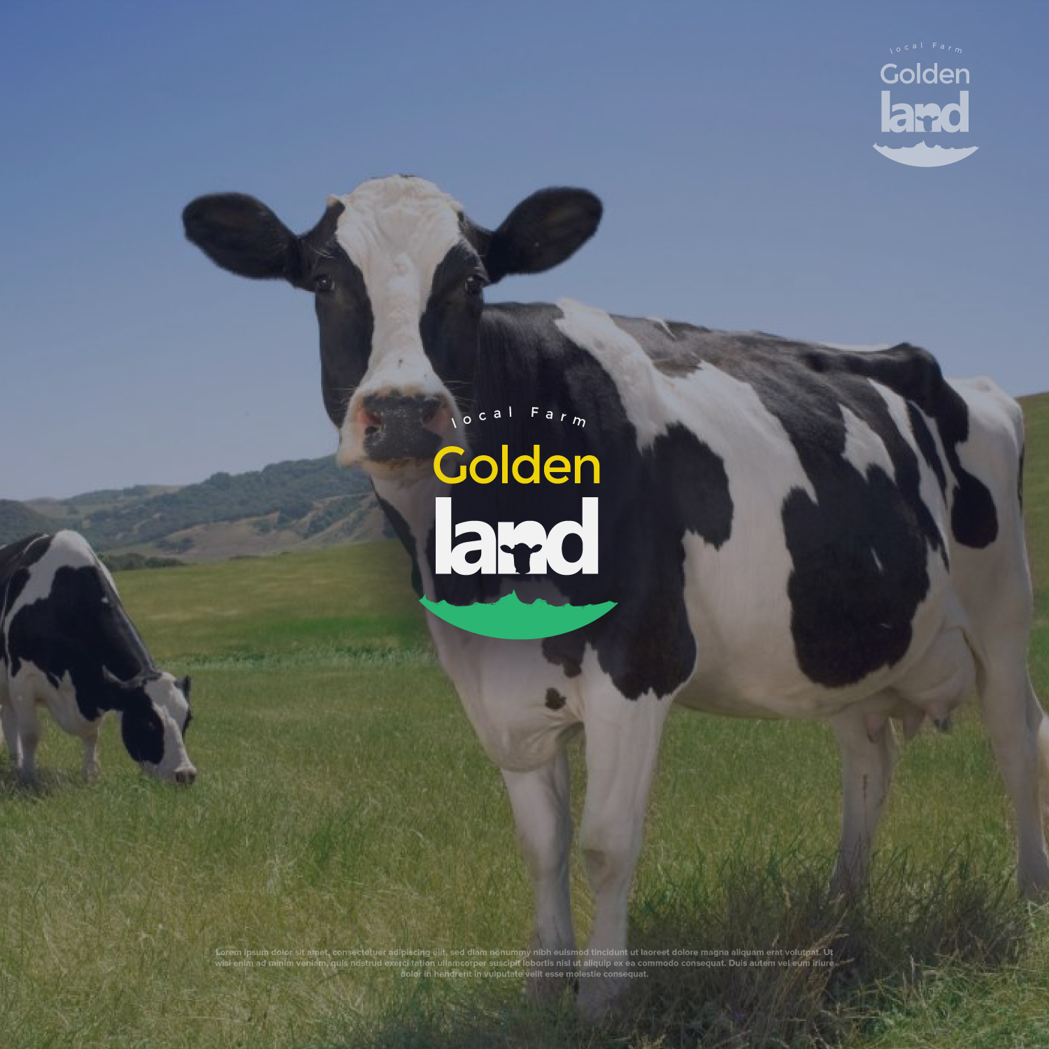 Design de Logo par kacimo pour Golden Land | Design #20887705