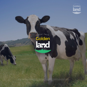 Logo Design by kacimo for Golden Land | Design: #20887705