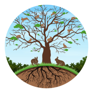 Graphic Design by MTajvidi for Aitchwood LLC | Design: #20890552