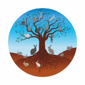  Family Tree of Hares (rabbits) | Diseño Gráfico por Maestroto