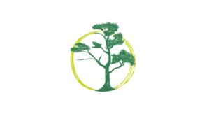 Design de Logo par trufya pour ce projet | Design : #20911627