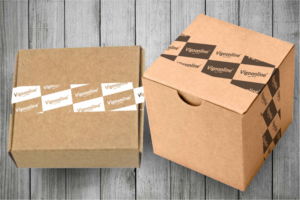 Packaging Design by Robert Macwan for VIGOONLINE.COM, LLC | Design: #20954256