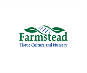 Logo Design by ramy 2 for Farmstead Tissue Culture and Nursery | Design #20897653