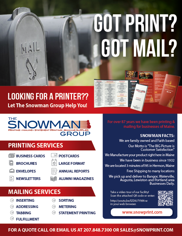 Flyer-Design von alex989 für THE SNOWMAN GROUP | Design #21196009