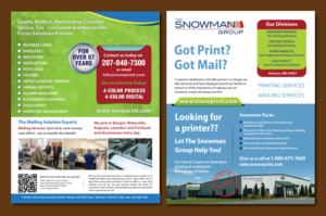 Company Marketing Flyer | Diseño de Flyer por meet007