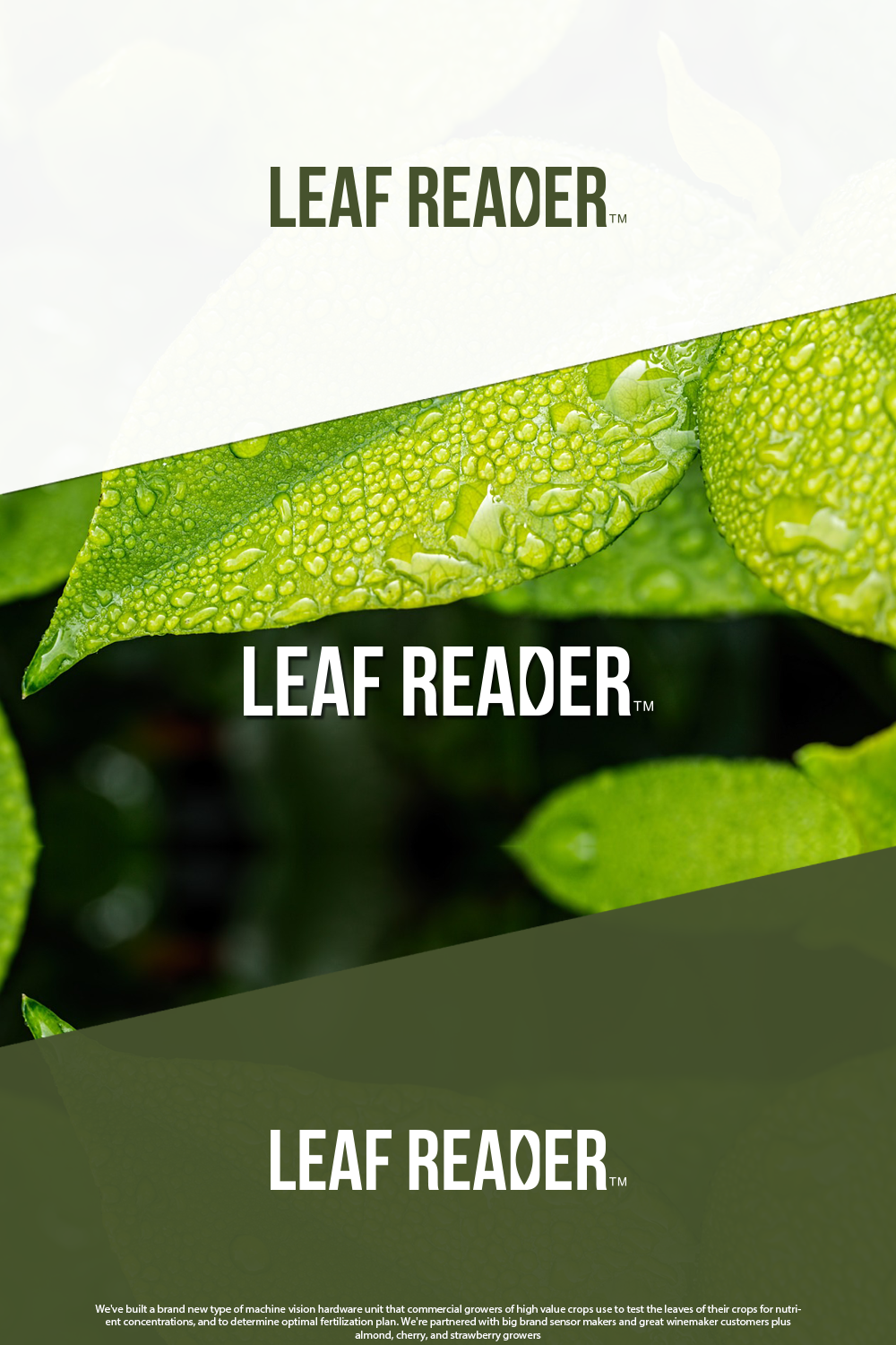 Logo Design by GBDESIGN for this project | Design #20901006