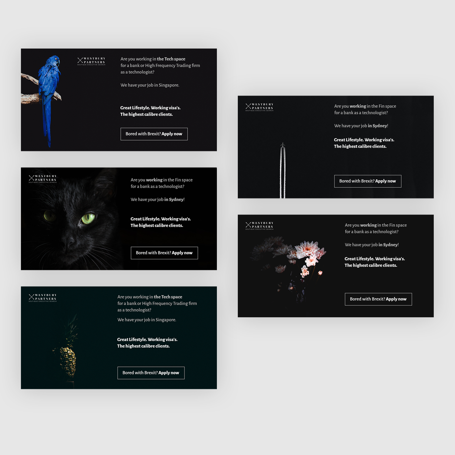 Web Design by darya_h for this project | Design #20914700