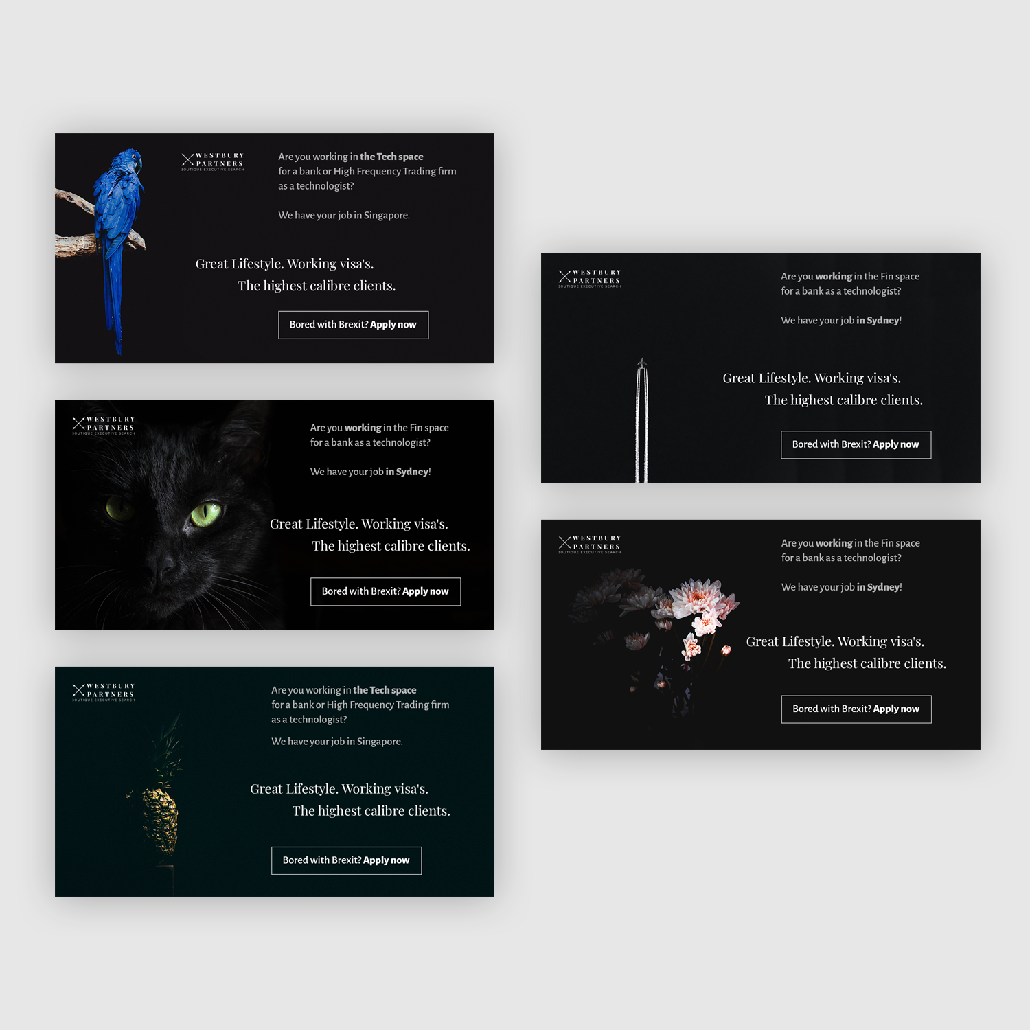 Web Design by darya_h for this project | Design #20915595