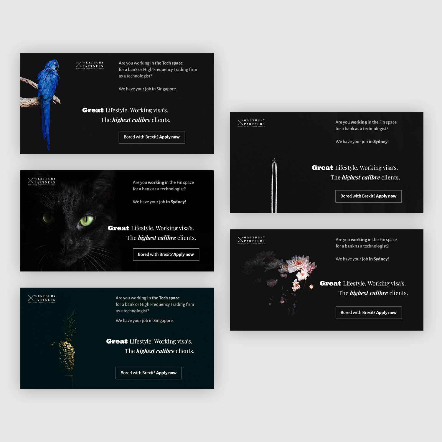 Web Design by darya_h for this project | Design #20915901