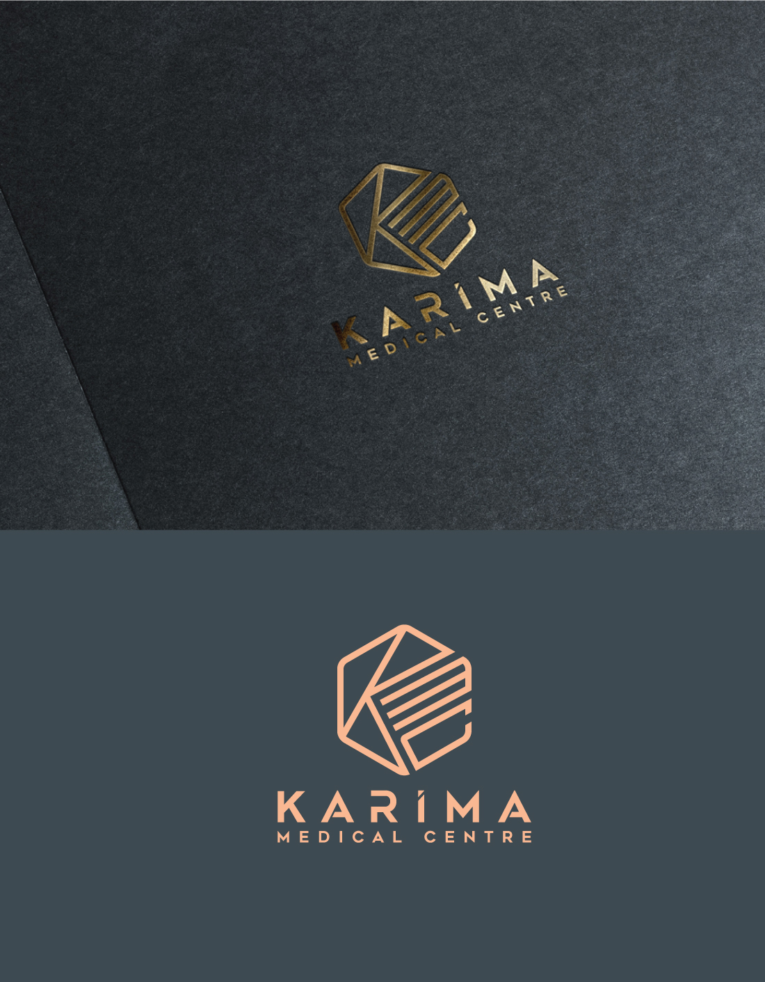 Logo Design by Design Solving for this project | Design #20931357