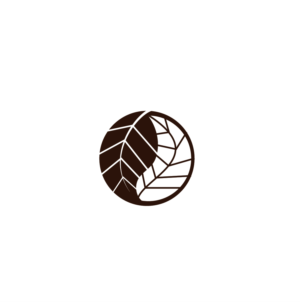 Logo Design by jose_luiz