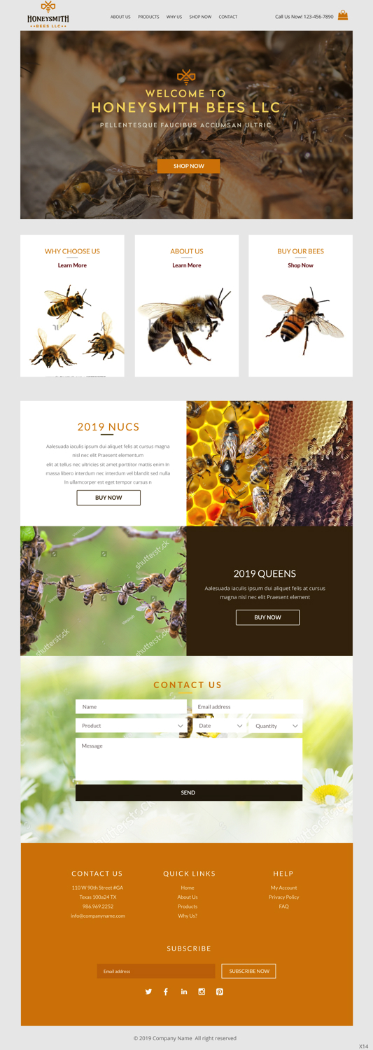 Wix Design by pb for HoneySmith Bees LLC | Design #20926697
